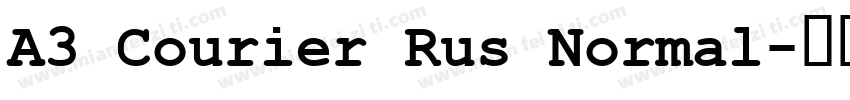 A3 Courier Rus Normal字体转换